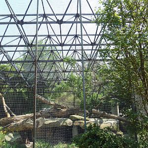 Persian Leopard Exhibit