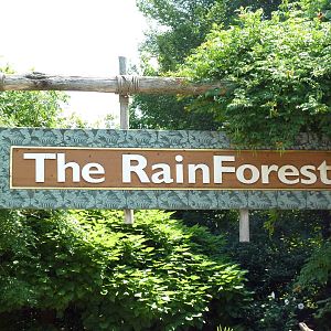 RainForest Building - Entrance Sign