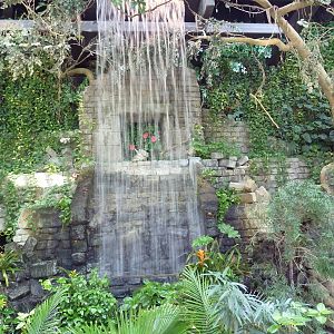 RainForest Building - Atrium Waterfall