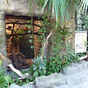 RainForest Building - Golden Lion Tamarin Exhibit