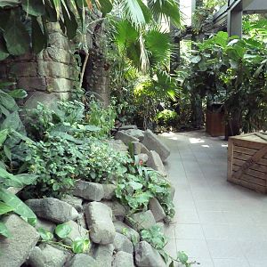 RainForest Building - Medicine Trail