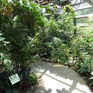 RainForest Building - Medicine Trail