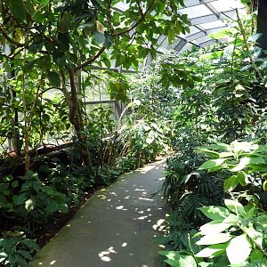 RainForest Building - Medicine Trail