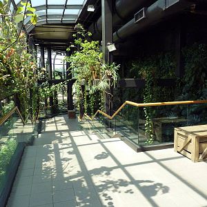 RainForest Building - Medicine Trail