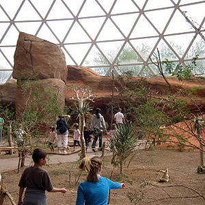 Desert Dome