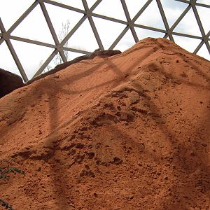 Desert Dome-Sand Dune