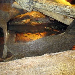 Desert Dome-Water Monitor