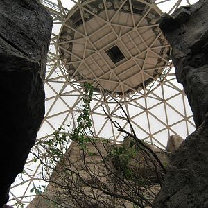 Desert Dome