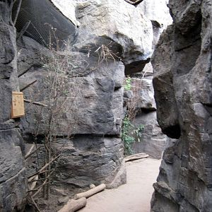 Desert Dome-Hummingbird Canyon