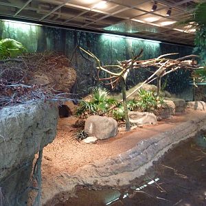 RainForest Building - Amazon River Basin - Prehensile-Tailed Porcupine/Two-