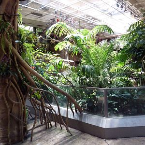 RainForest Building