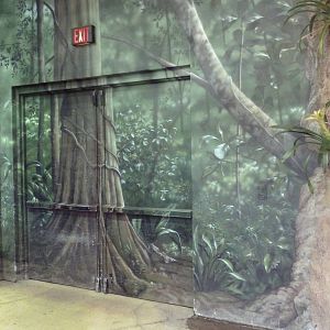RainForest Building - Mural