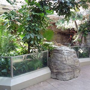 RainForest Building - Giant Anteater/Scarlet Macaw/Capybara Exhibit