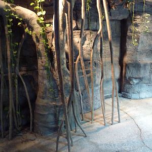 RainForest Building - Visitor Pathway