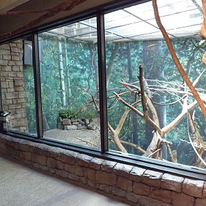 RainForest Building - Francois Langur/Prevost's Squirrel Exhibit