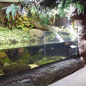 RainForest Building - Turtle/Fish Exhibit