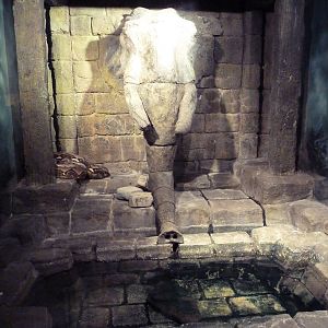 RainForest Building - Reticulated Python Exhibit