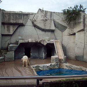 Polar Bear Exhibit