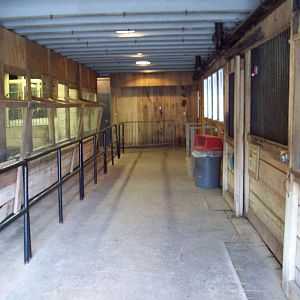Animal Stables