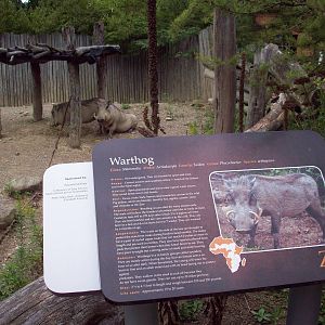 Wathogs by their sign