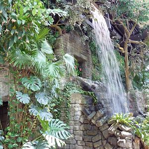 RainForest Building - Atrium Waterfall