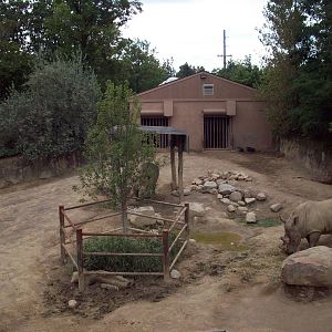 Rhino Exhibit