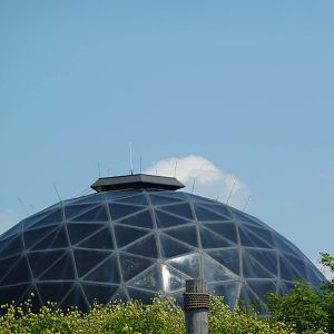 RainForest Building - Bornean Orangutan Dome