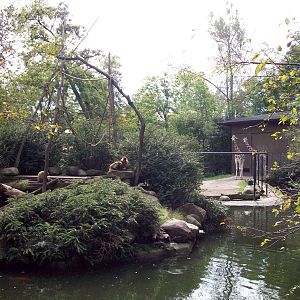 Monkey Island & Giraffe Exhibit