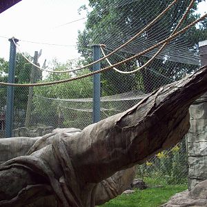 Orang Outdoor Exhibit