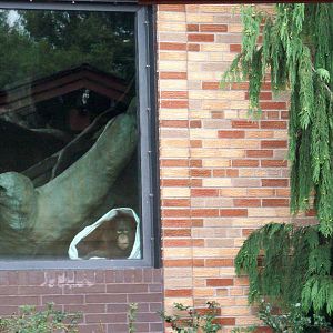 Greetings from the Inside