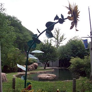 Metal Sunflower in front of Penguin Exhibit