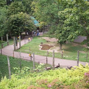 Overview of Wallaby Walkabout