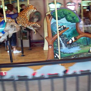 Quick shot of Carousel