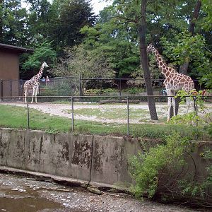 Giraffe Exhibit seen from the Bridge