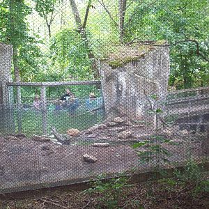 Backview of Otter Exhibit