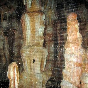 Kingdoms of the Night-Bat Cave