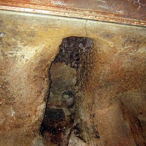 Kingdoms of the Night-Bats