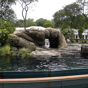 Sea Lion Pool
