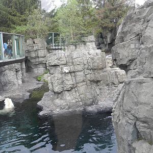 Polar Bear Exhibit
