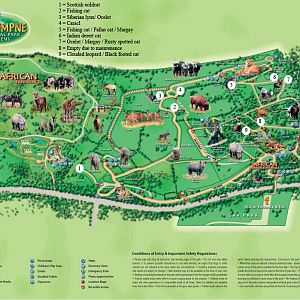 small cat map September 2010