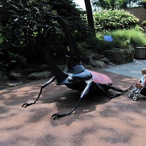 Insectarium-Statuary