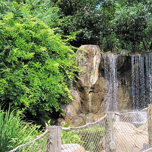 River's Edge-Waterfall