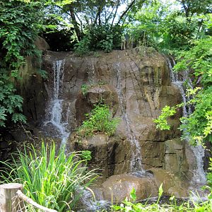 River's Edge-Waterfall