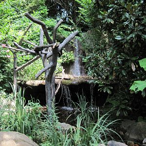 River's Edge-Waterfall