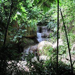 River's Edge-Waterfall