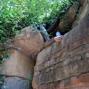 River's Edge-Statuary