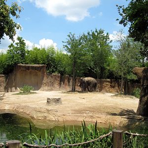 River's Edge-Asian Elephant