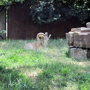 Red Rocks-Transcaspian Ural
