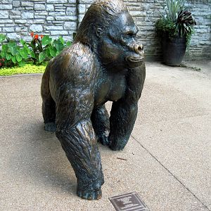 Fragile Forest-Statuary