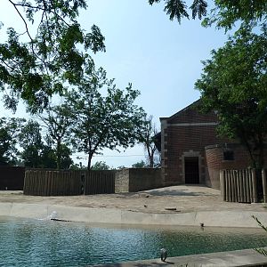 Asian Elephant Exhibit